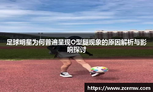 mk体育官网登录平台