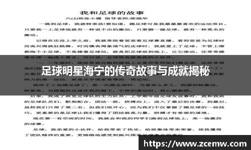 mk体育(MKsports集团)股份公司