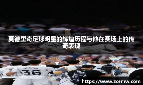 mk体育官网登录平台